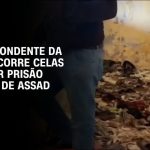 prisioneiro-libertado-que-disse-ser-vitima-do-regime-de-assad-era-um-oficial-de-inteligencia,-dizem-moradores